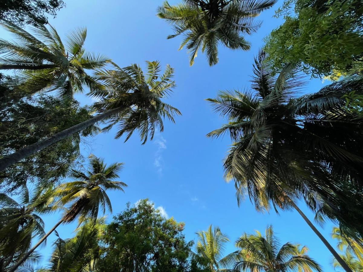 Your Zanzibar Place ปาเยอ ภายนอก รูปภาพ