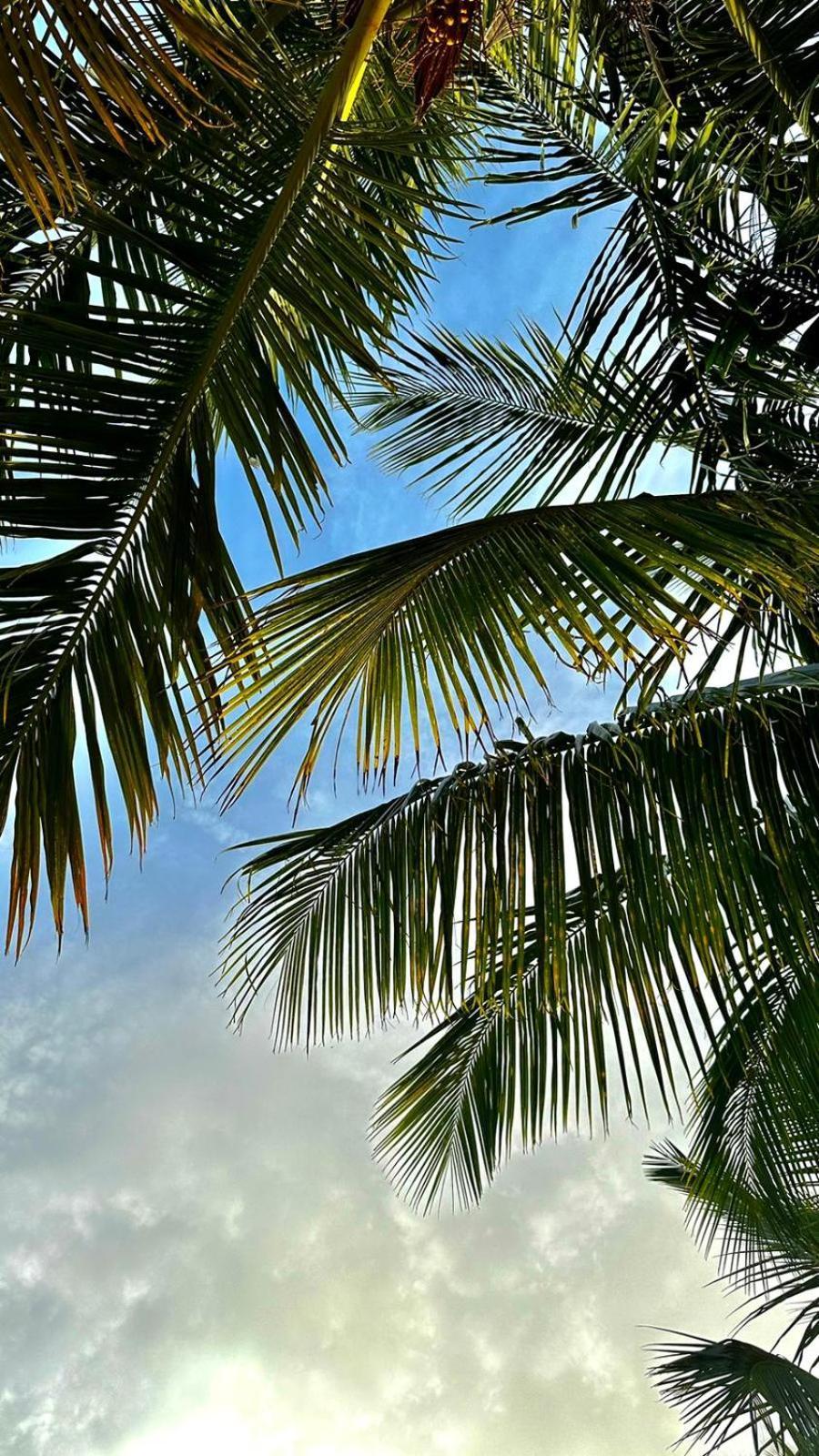 Your Zanzibar Place ปาเยอ ภายนอก รูปภาพ