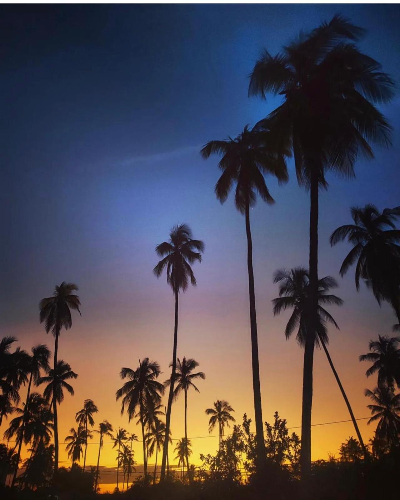 Your Zanzibar Place ปาเยอ ภายนอก รูปภาพ