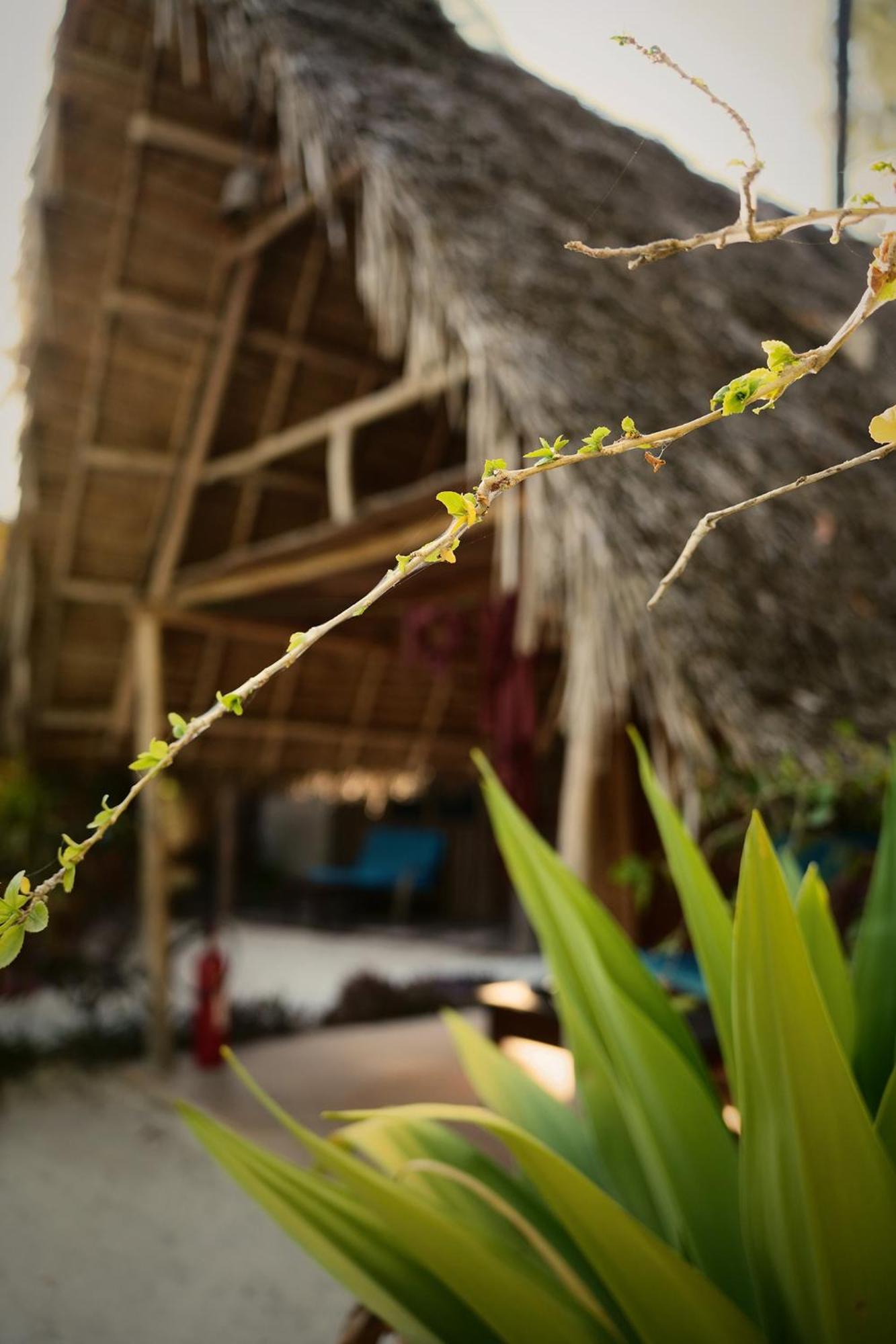 Your Zanzibar Place ปาเยอ ภายนอก รูปภาพ